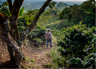 Colombia Mustafa