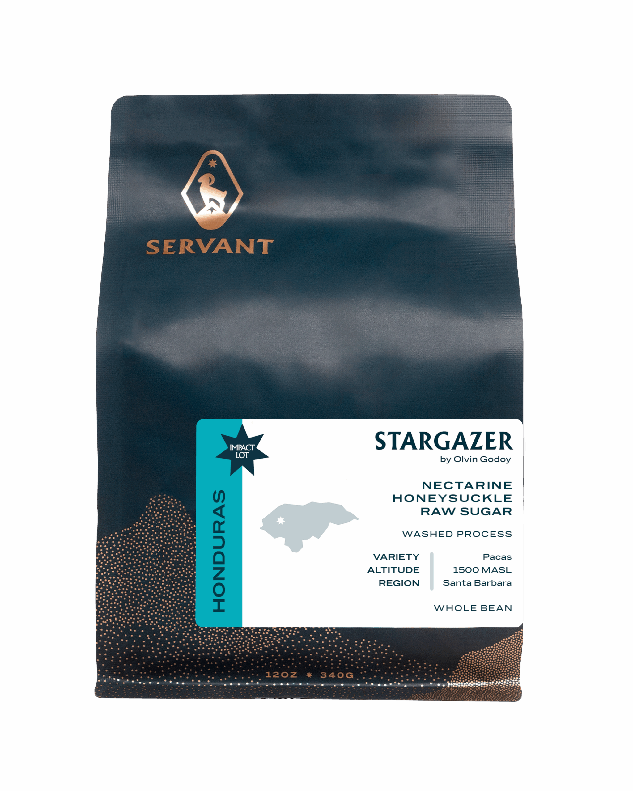 Stargazer